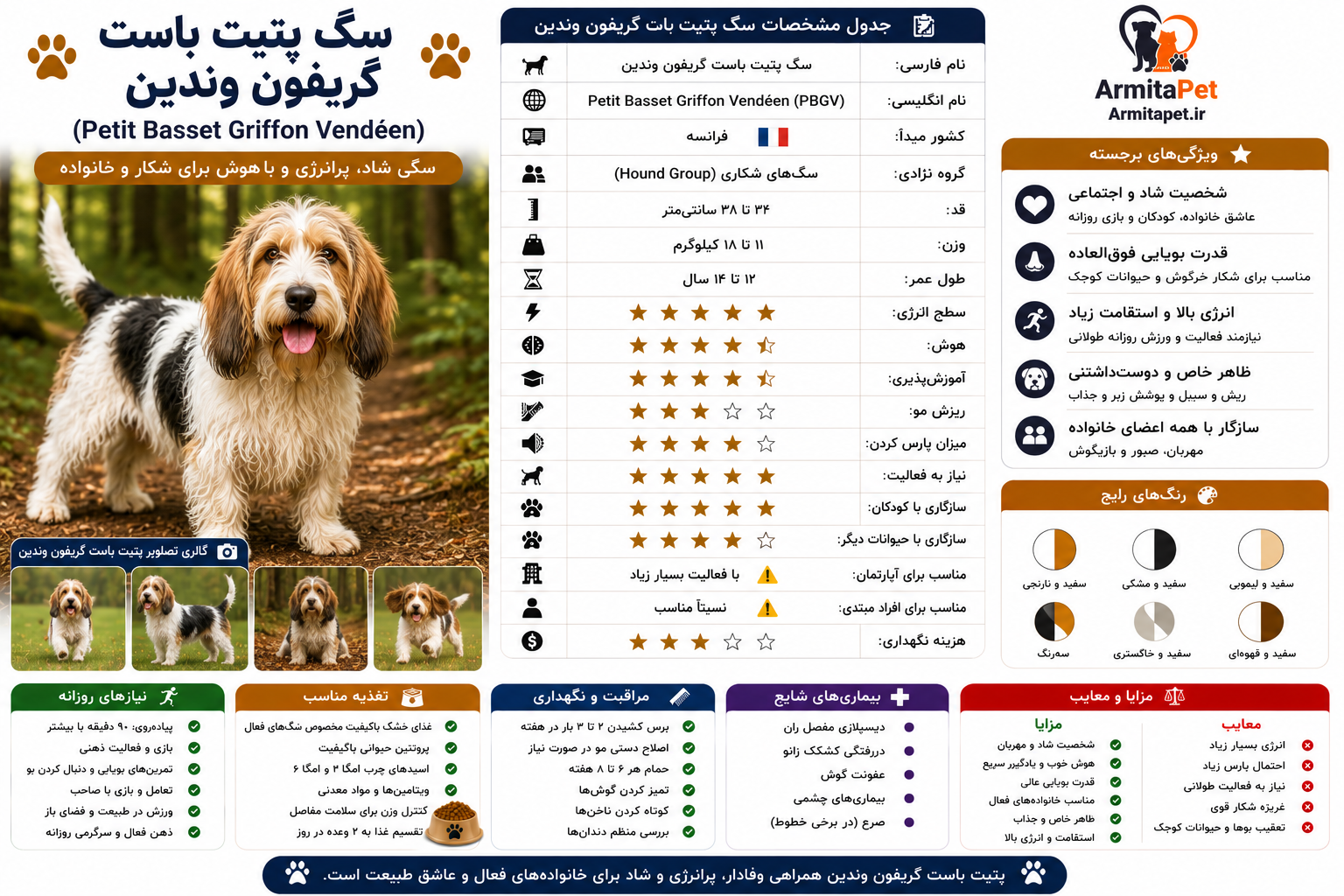 سگ پتیت باست گریفون وندین.png
