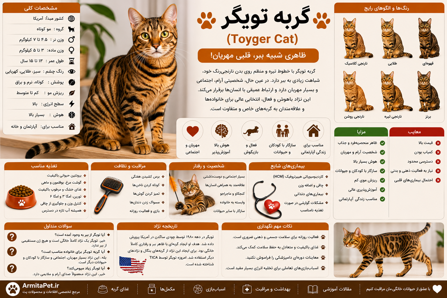 گربه تویگر.png