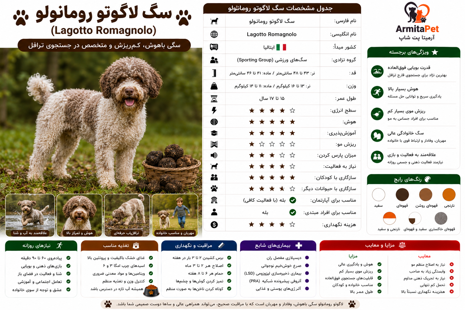 سگ لاگوتو رومانولو.png