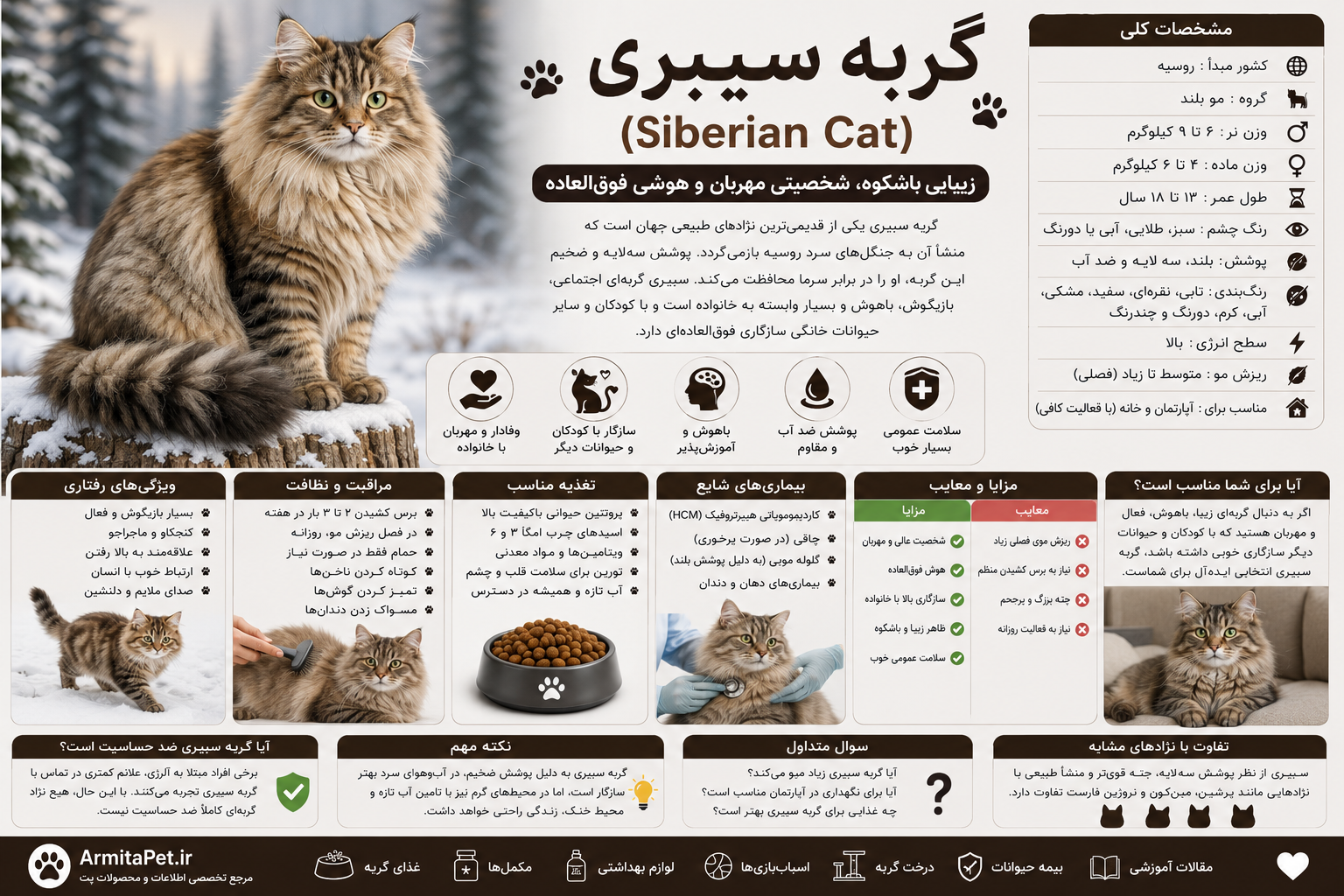 گربه سیبری.png