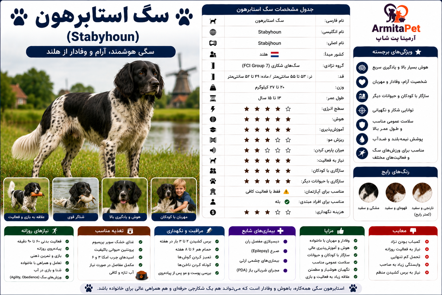 معرفی سگ استابرهون.png