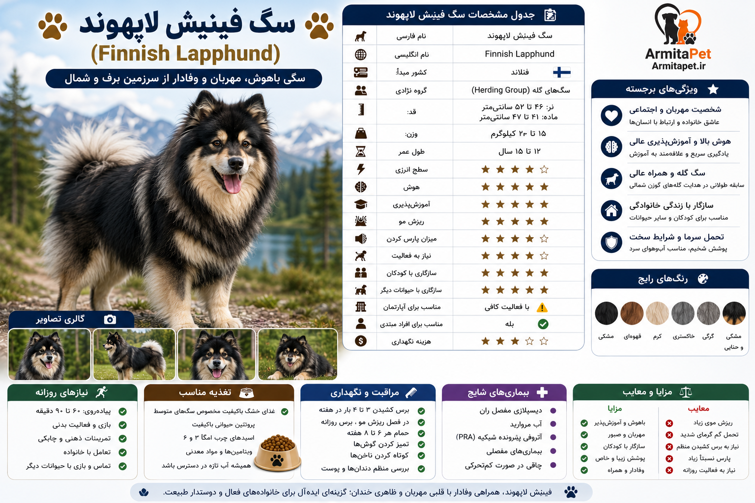 سگ فینیش لاپهوند (Finnish Lapphund).png