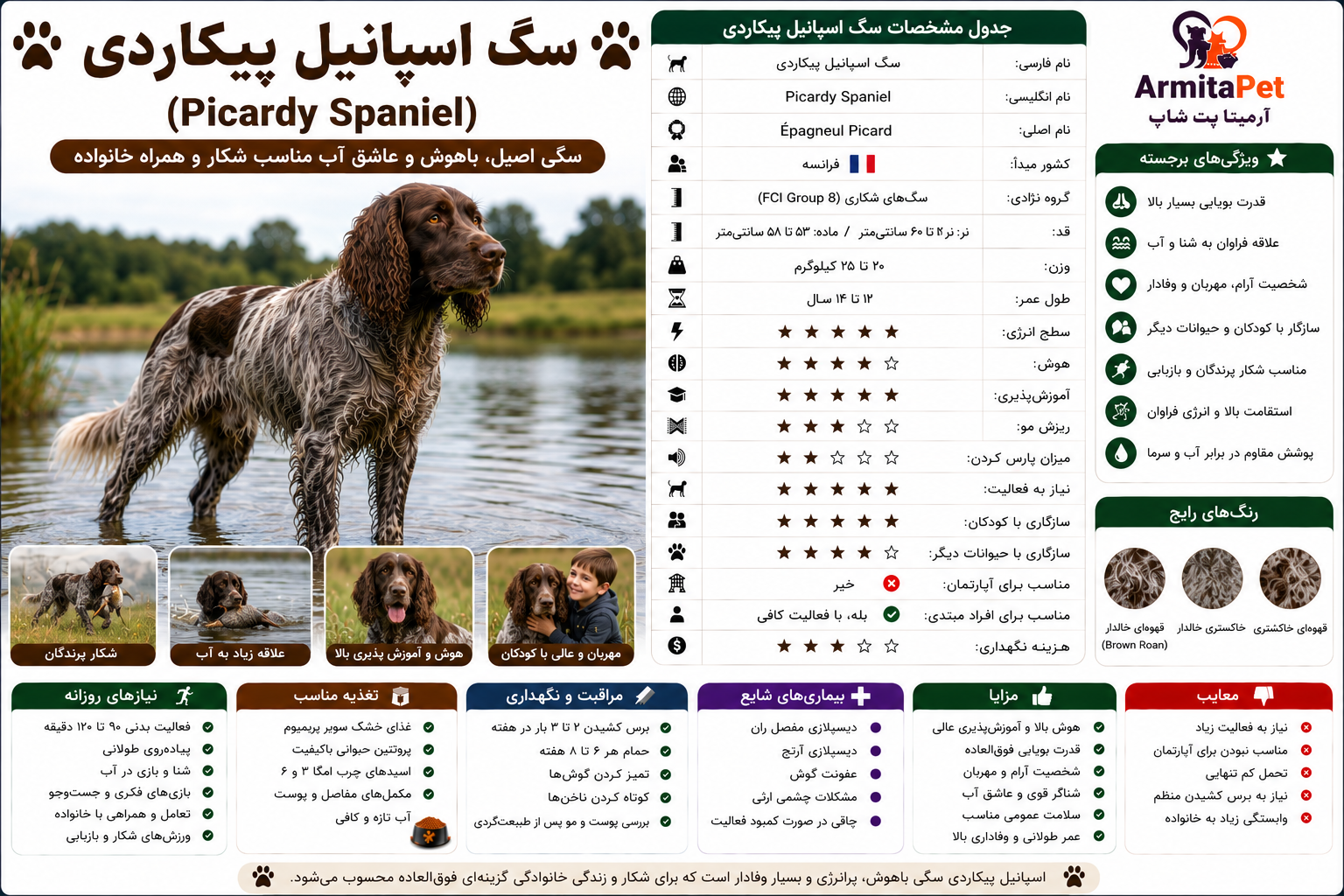 سگ اسپانیل پیکاردی.png
