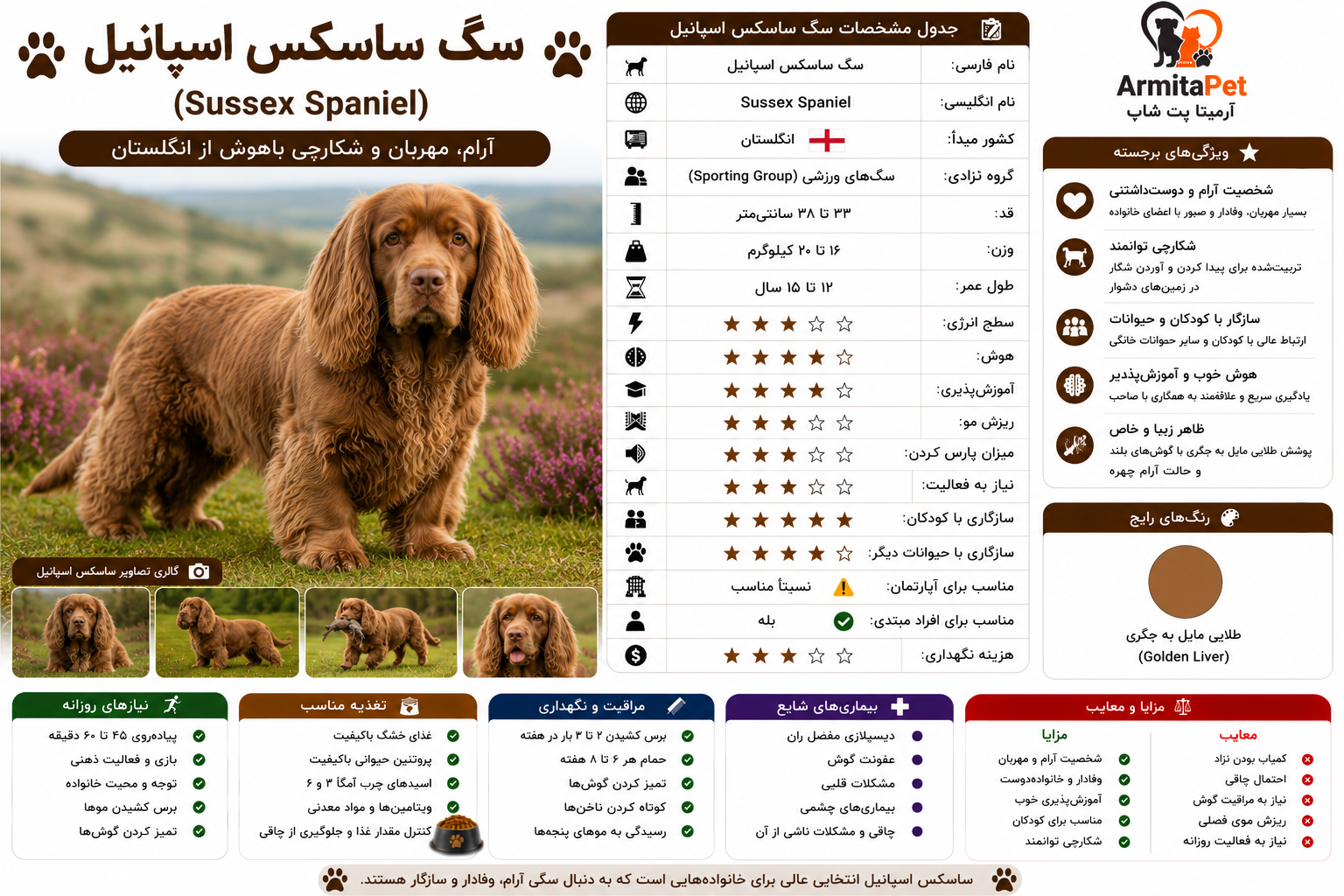 سگ ساسکس اسپانیل.png