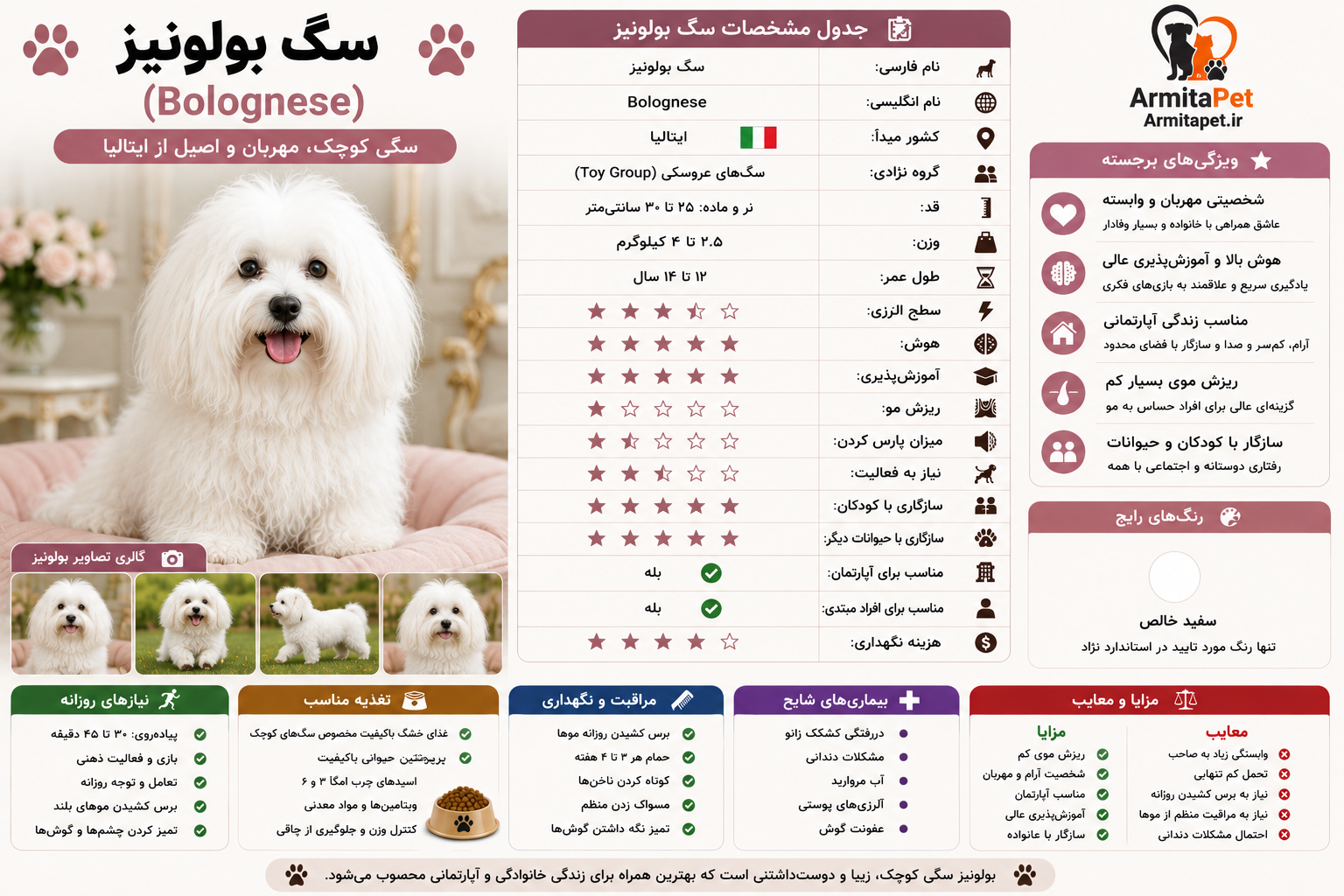 سگ بولونیز.png