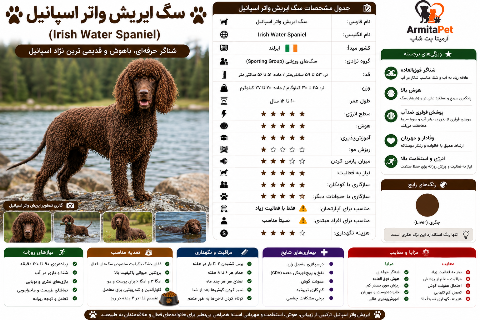 سگ ایریش واتر اسپانیل.png