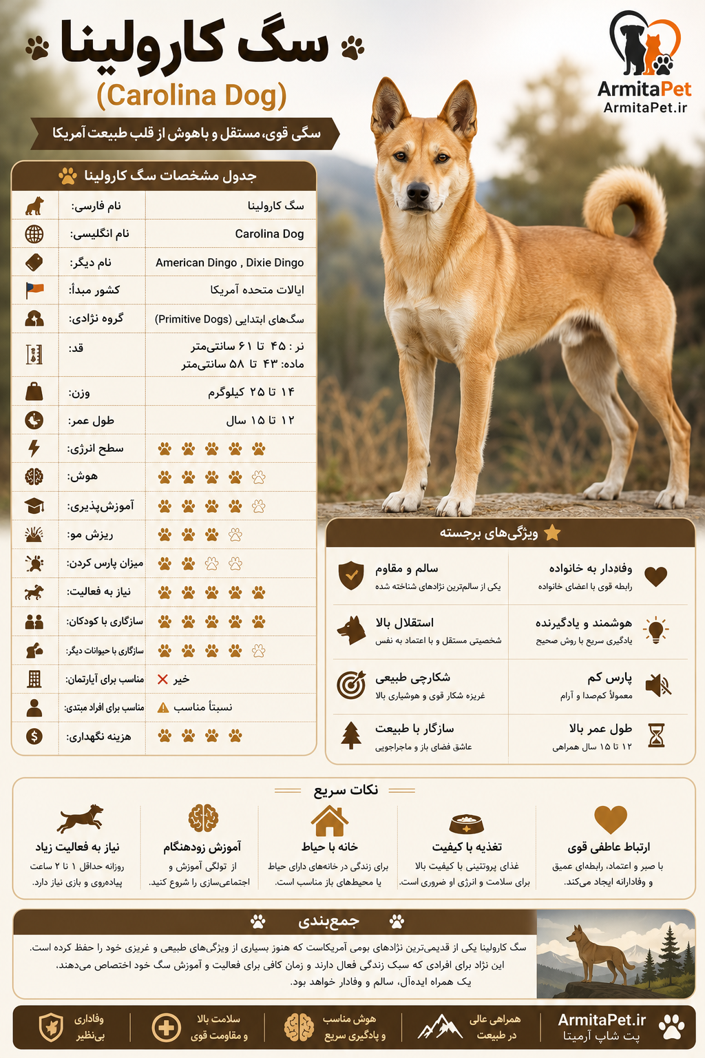 سگ کارولینا (Carolina Dog).png