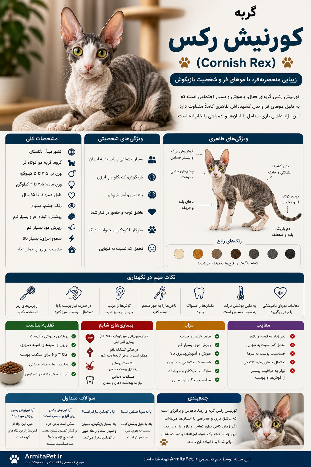 معرفی گربه کورنیش رکس.png