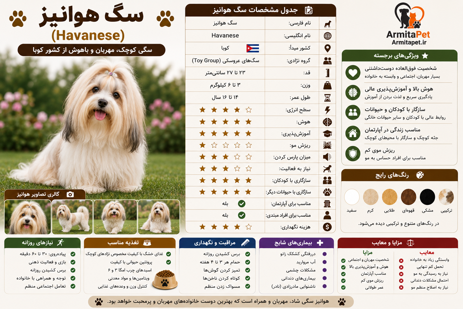 معرفی کامل سگ هوانیز (Havanese).png