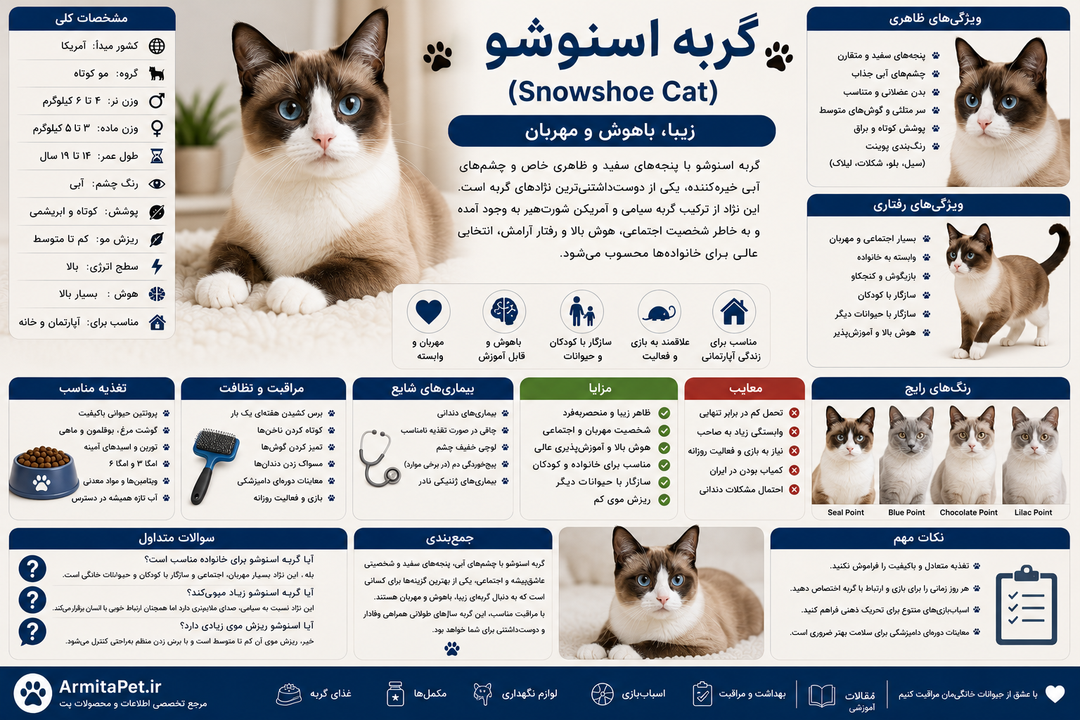 گربه اسنوشو.png