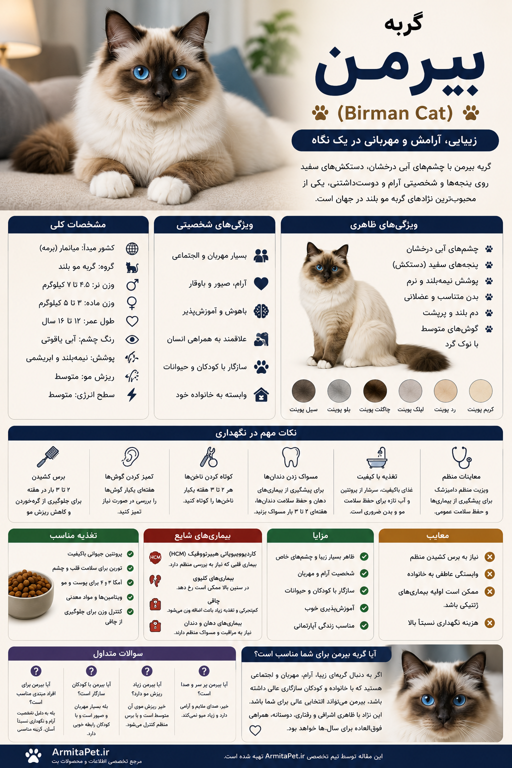 معرفی گربه بیرمن.png