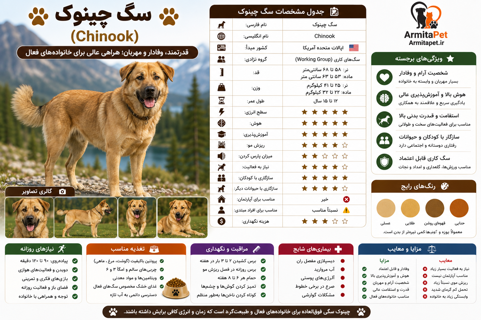 سگ چینوک (Chinook).png