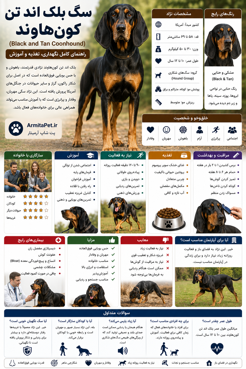 سگ بلک اند تن کونهاوند (Black and Tan Coonhound).png