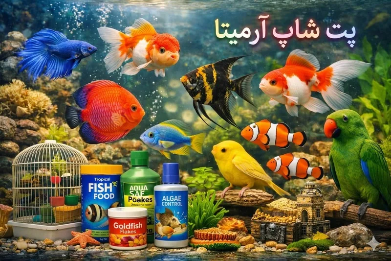 اقلام ماهی ها