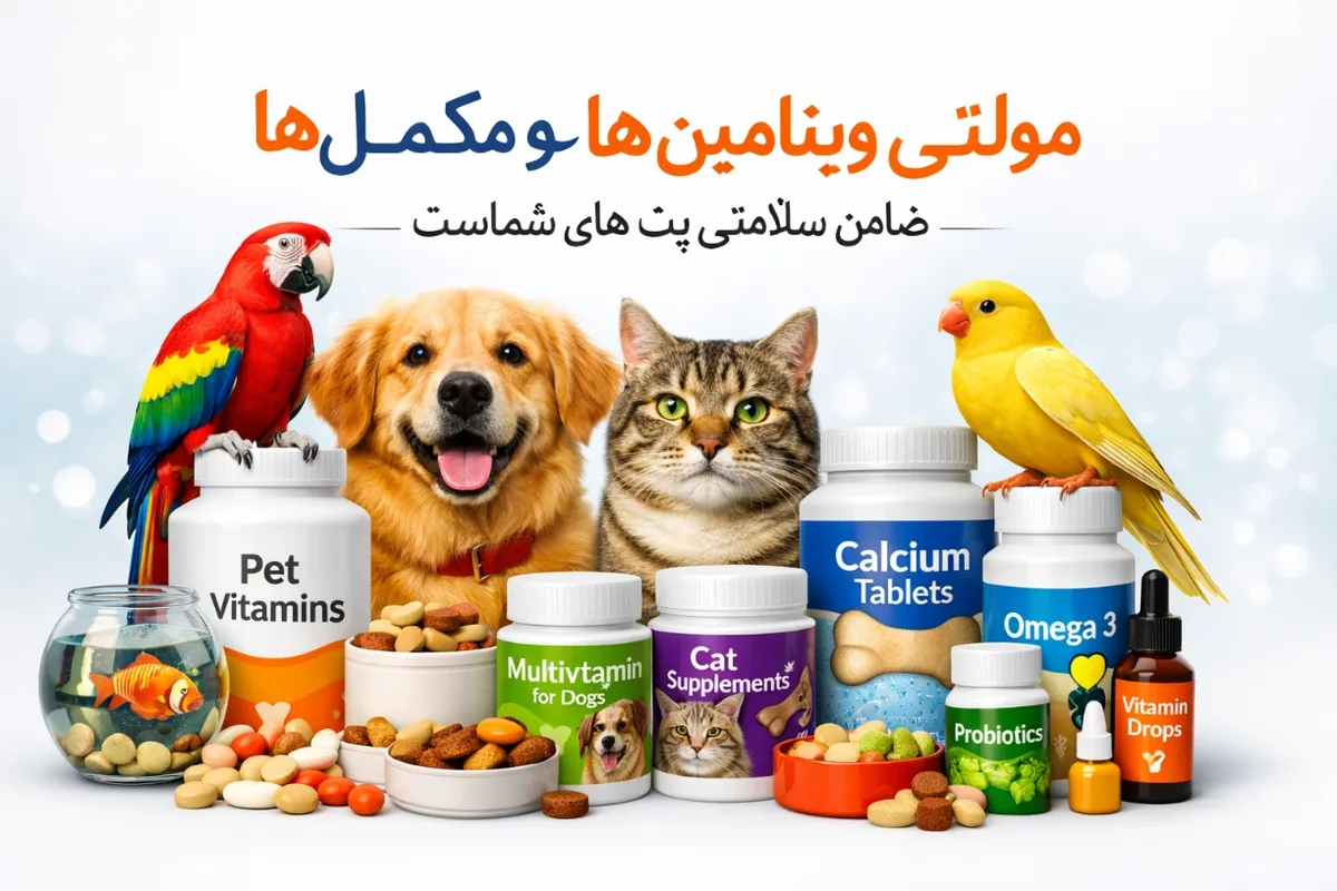 بهترین مکمل های سگ و گربه | راهنمای خرید ویتامین و مکمل حیوانات خانگی
