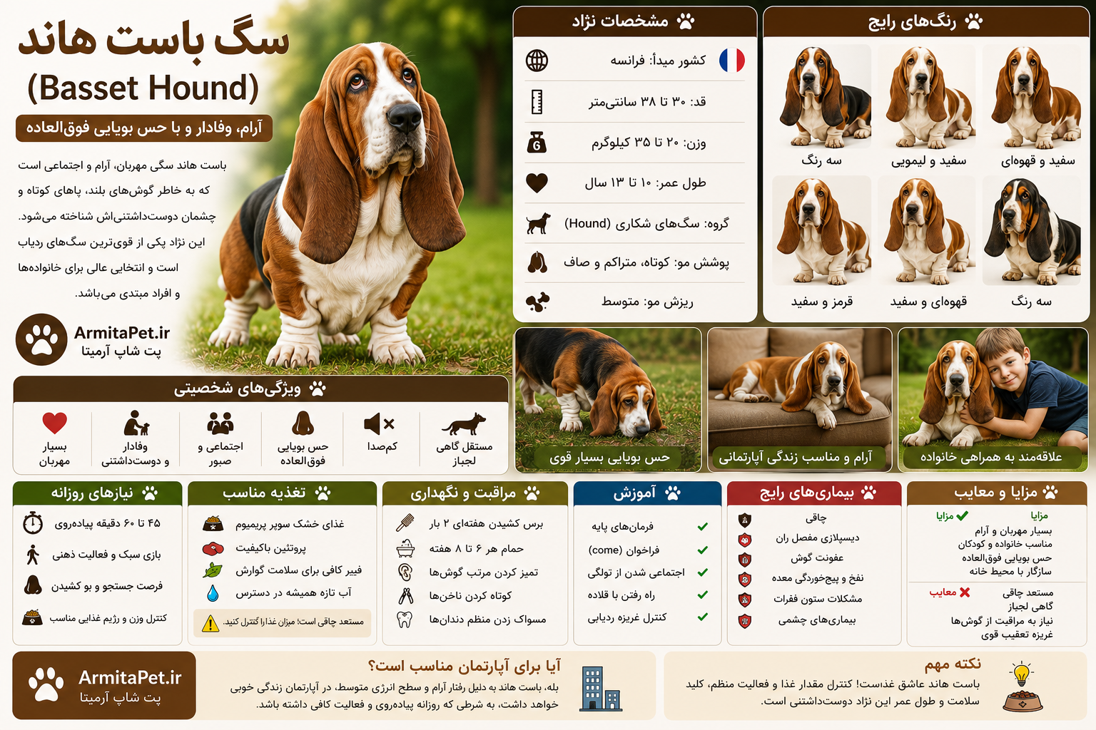 سگ باست هاند (Basset Hound)