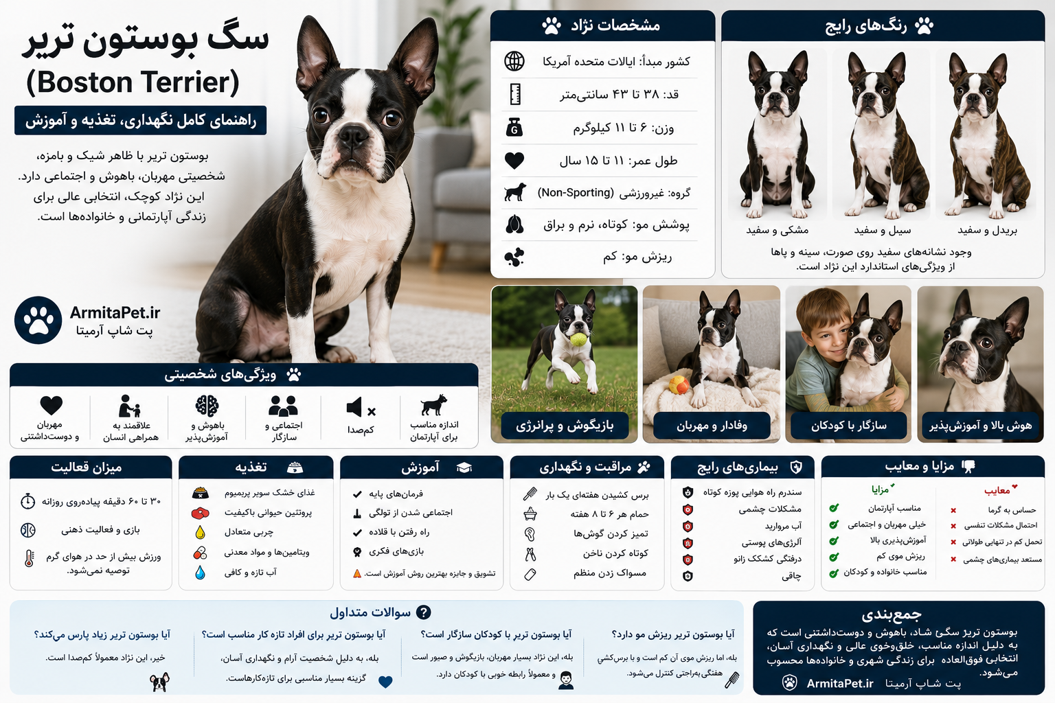 سگ بوستون تریر (Boston Terrier)