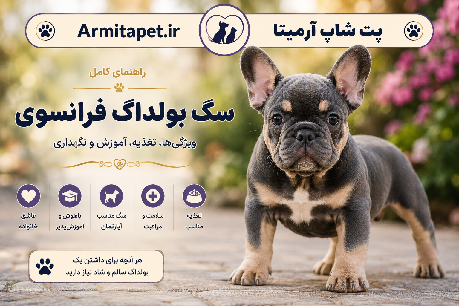 سگ بولداگ فرانسوی | راهنمای کامل نگهداری، تغذیه، آموزش و بیماریها