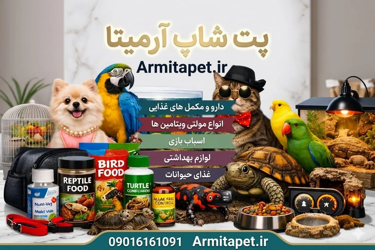 علت بوی بد دهان سگ چیست؟ | بررسی دلایل، روش‌های درمان و پیشگیری