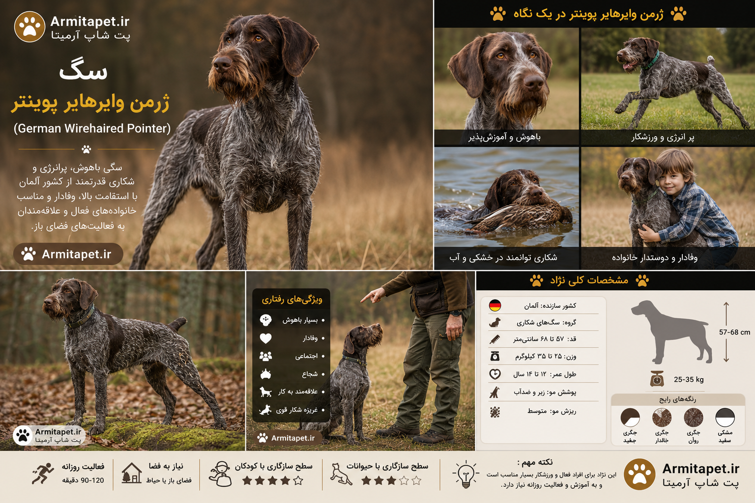سگ ژرمن وایرهایر پوینتر (German Wirehaired Pointer)