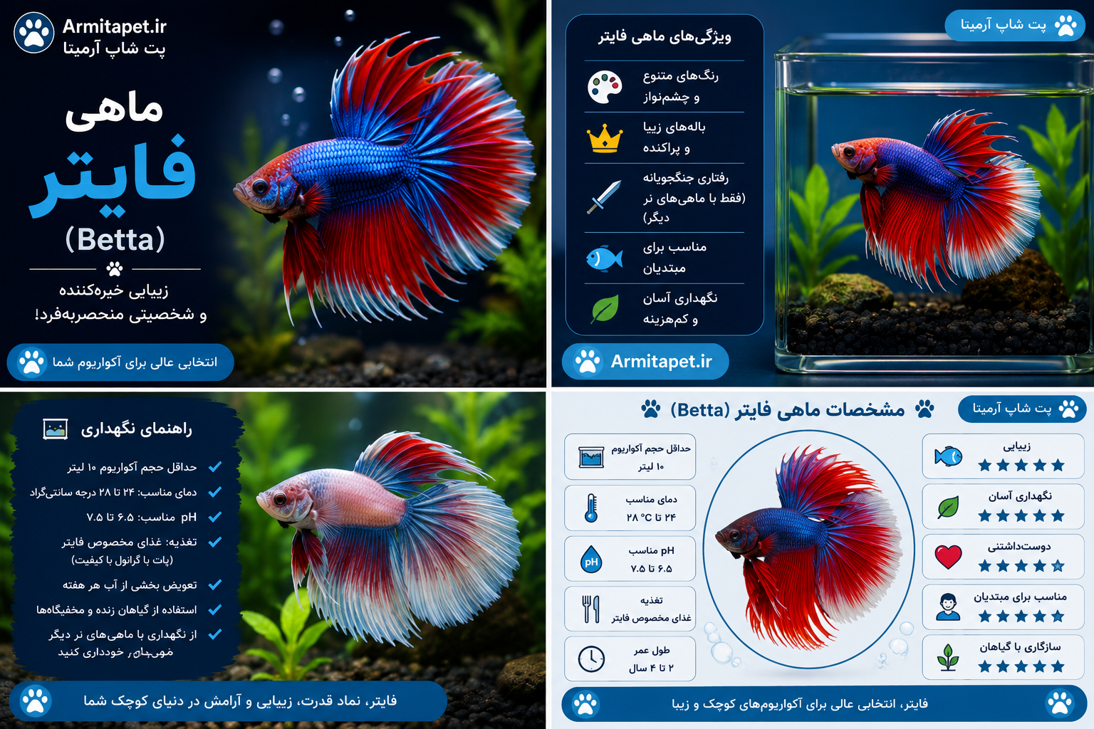 ماهی فایتر (Betta) |معرفی کامل  راهنمای نگهداری، تغذیه و مراقبت