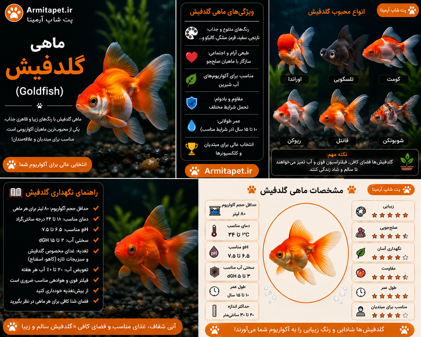 ماهی گلدفیش | راهنمای کامل نگهداری، تغذیه، بیماریها و انواع ماهی قرمز