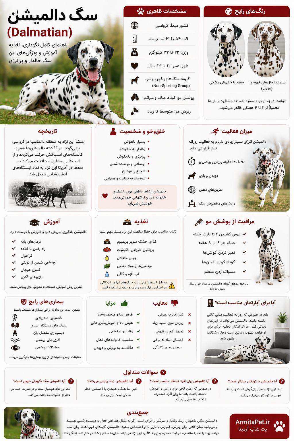 راهنمای کامل سگ دالمیشن (Dalmatian)