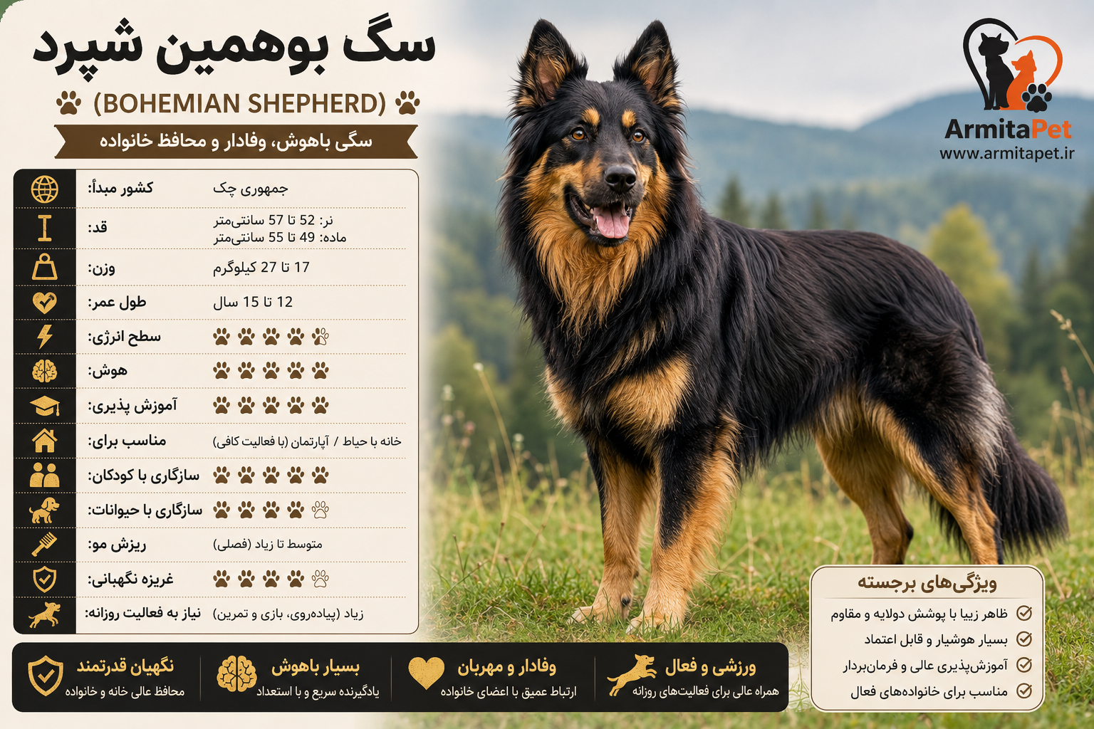 سگ بوهمین شپرد (Bohemian Shepherd)
