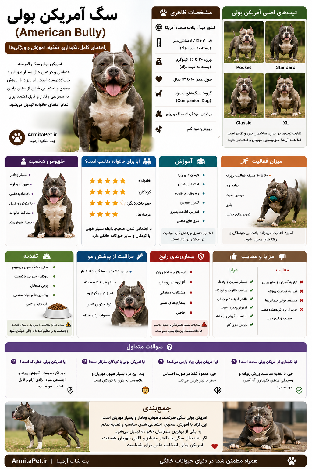 سگ آمریکن بولی (American Bully)