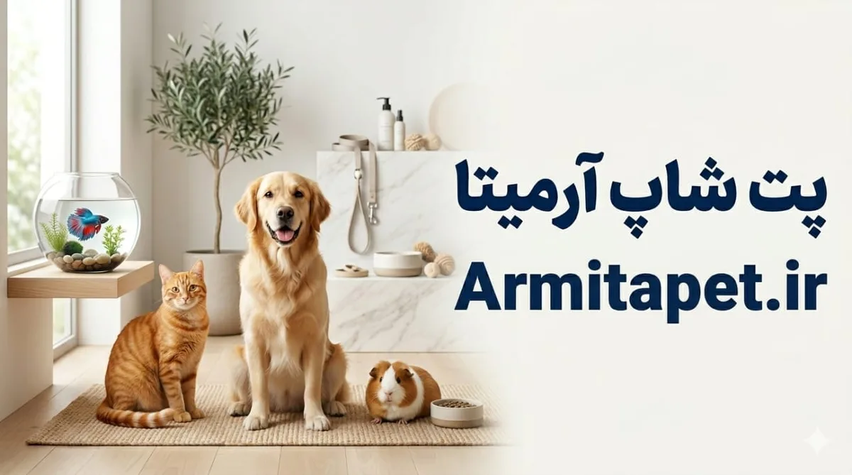 ۱۰ اشتباه رایج صاحبان سگ و گربه که سلامت حیوان را به خطر میاندازد