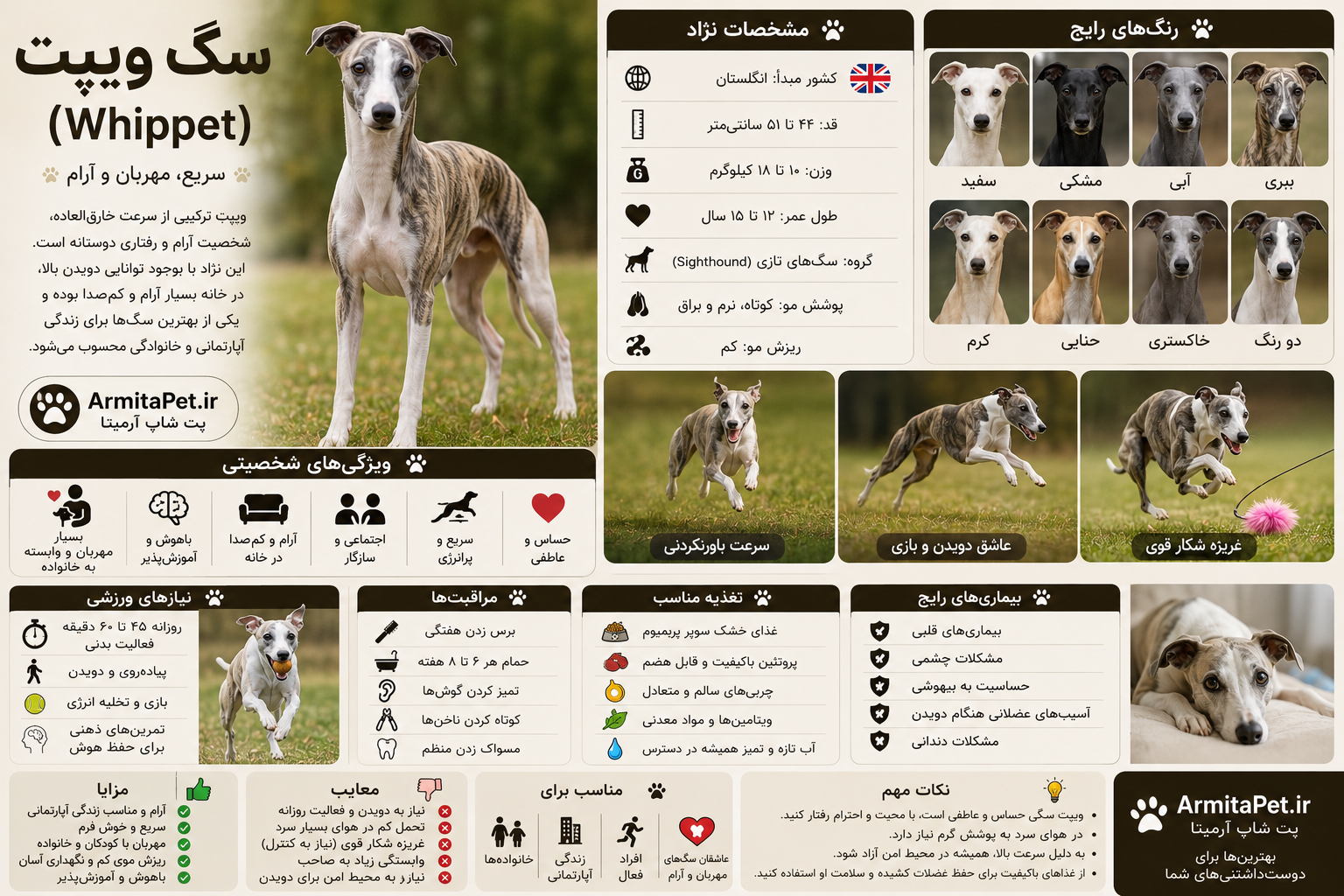 سگ ویپت (Whippet)