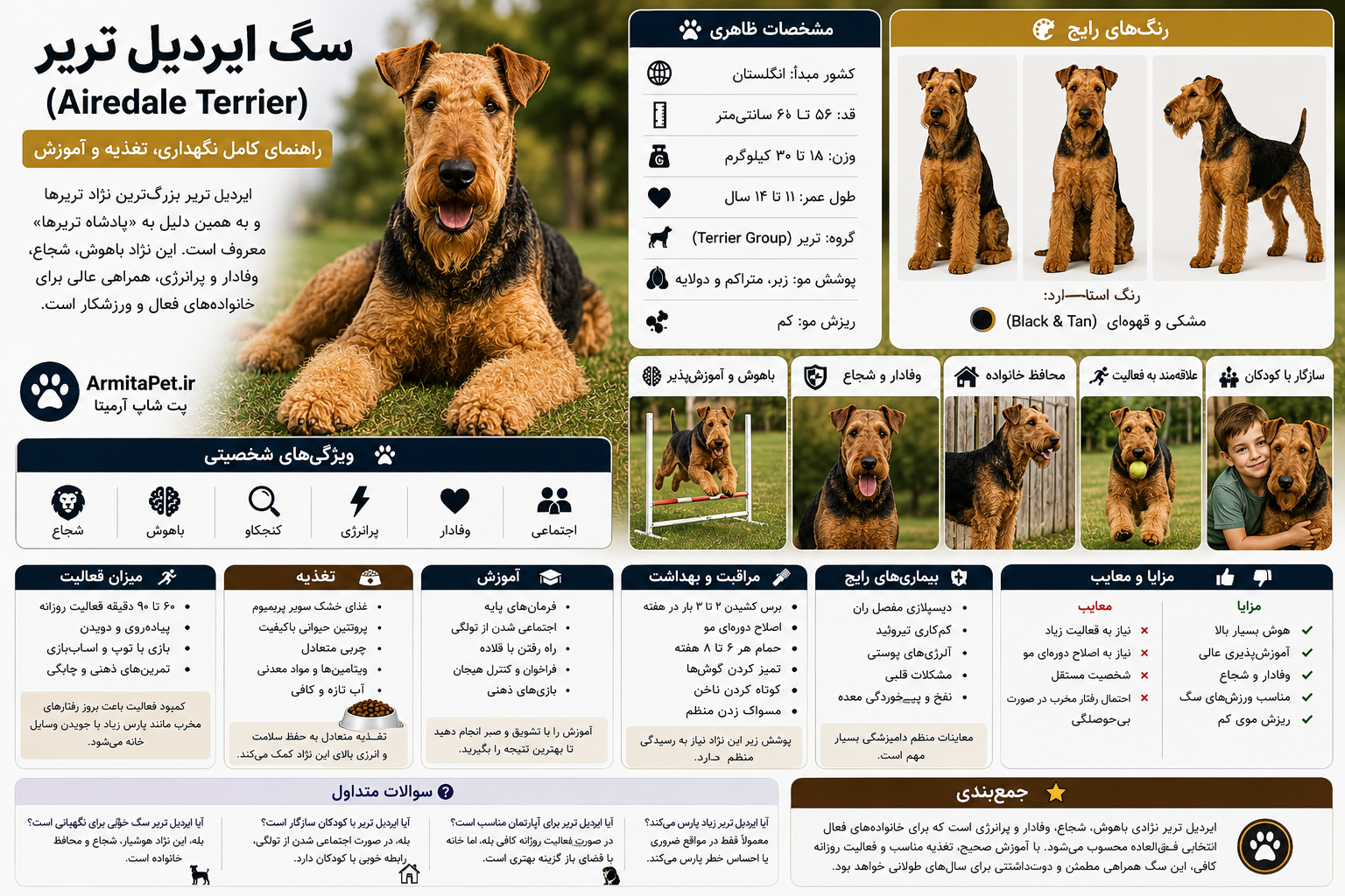 سگ ایردیل تریر (Airedale Terrier)