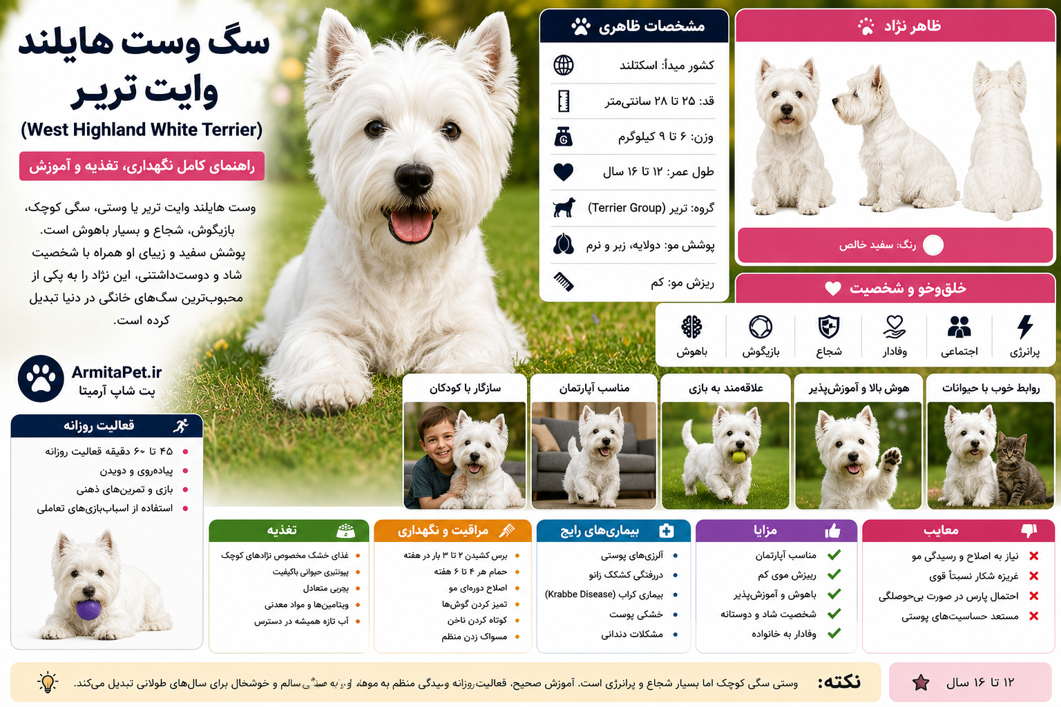 سگ وست هایلند وایت تریر (West Highland White Terrier)