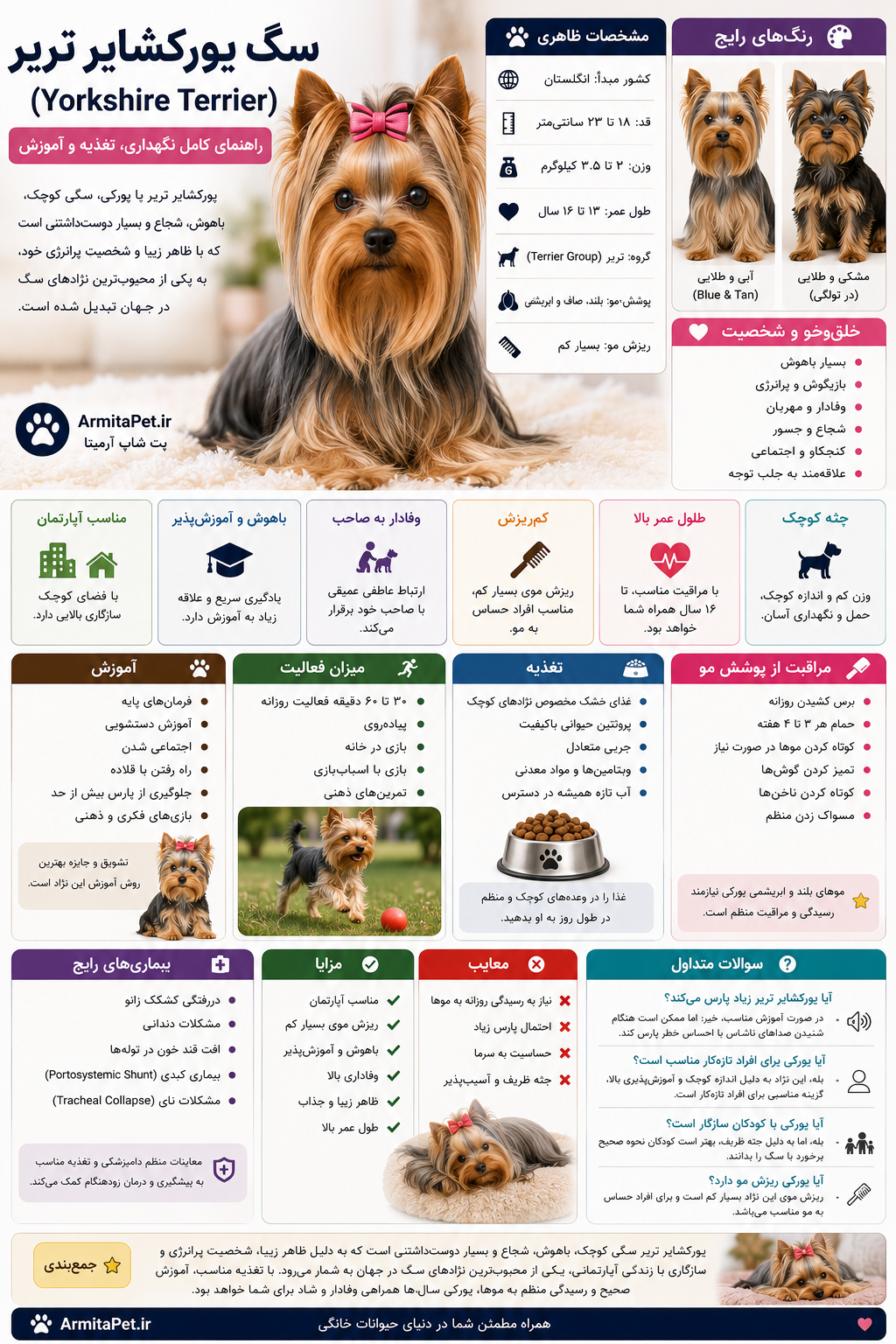سگ یورکشایر تریر (Yorkshire Terrier)