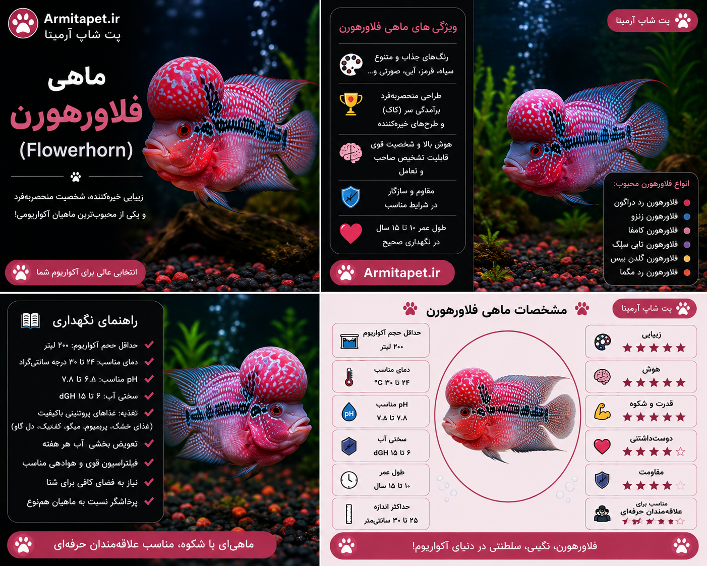 ماهی فلاورهورن | راهنمای کامل نگهداری، تغذیه، بیماری‌ها و شرایط آکواریوم