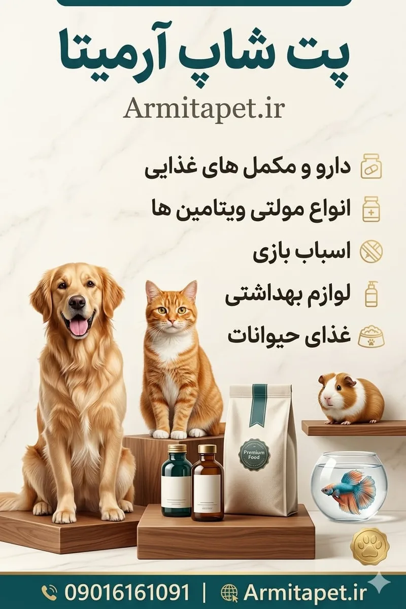 راهنمای انتخاب غذای خشک سگ | چگونه بهترین غذای خشک را برای سگ خود انتخاب کنیم؟