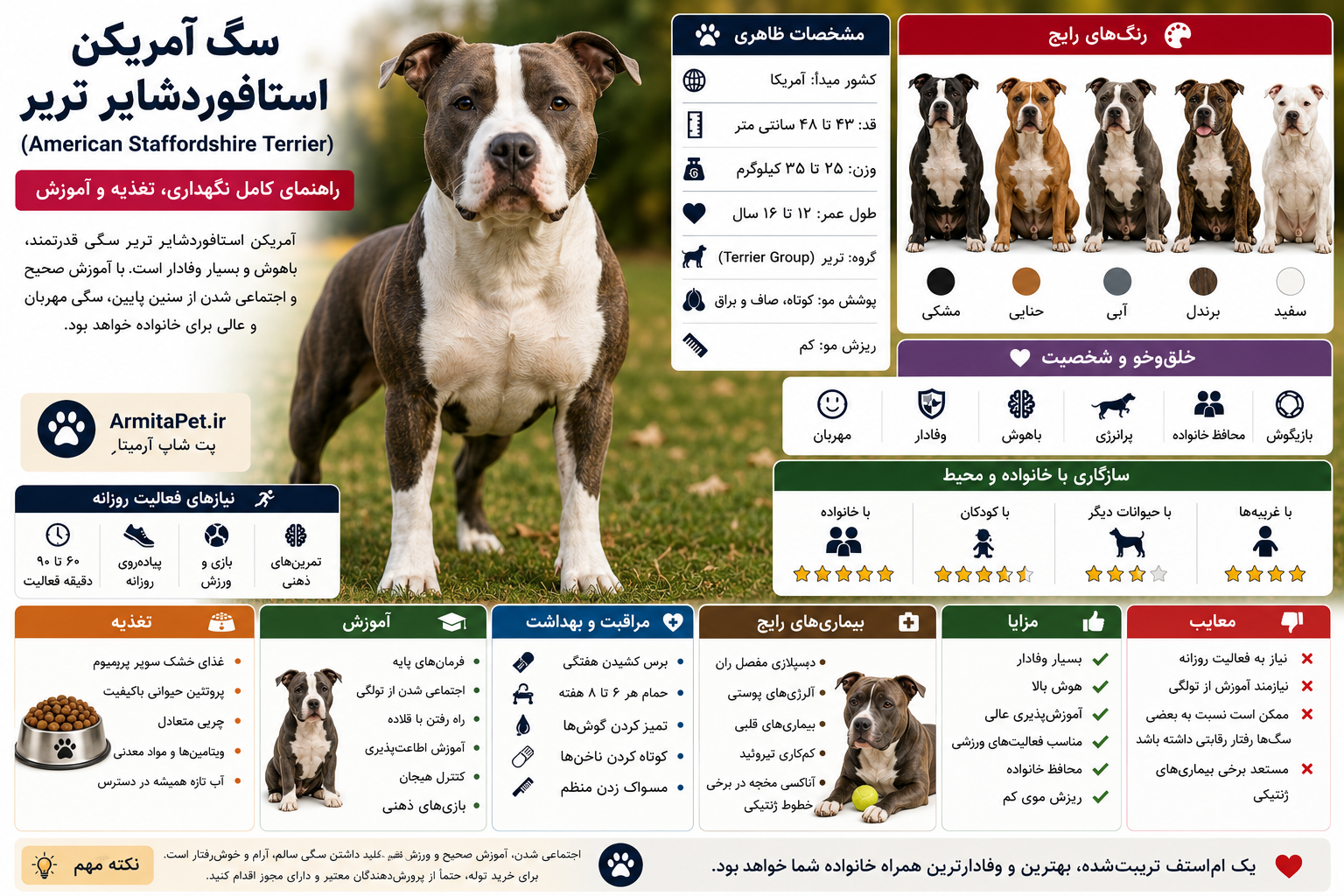 سگ آمریکن استافوردشایر تریر (American Staffordshire Terrier)