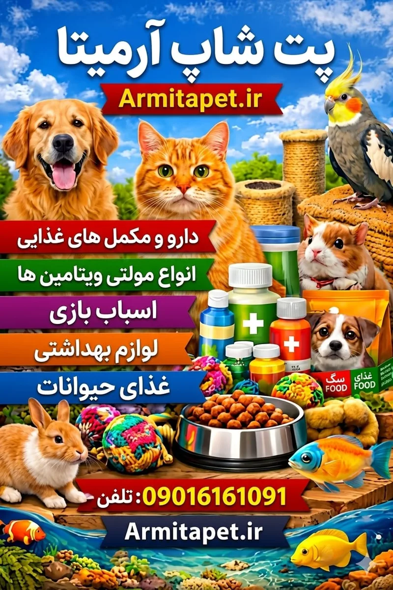 غذاهای ممنوعه برای گربه | 14 خوراکی خطرناک که هر صاحب گربه باید بداند