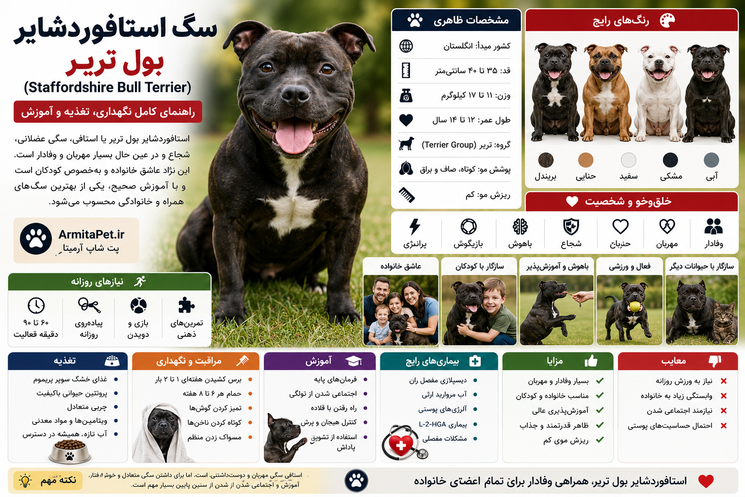سگ استافوردشایر بول تریر (Staffordshire Bull Terrier