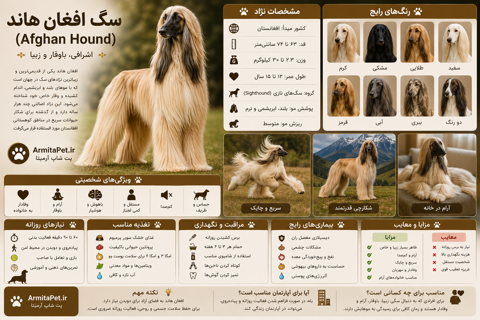 سگ افغان هاند (Afghan Hound)